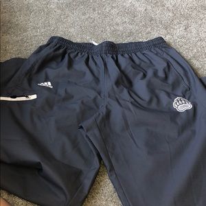 Brown University Wind breaker sweats